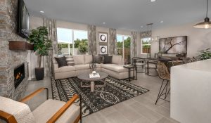 Preview Opening at New Manteca Community: Freestone