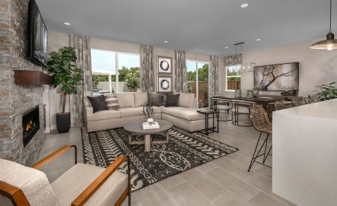 Preview Opening at New Manteca Community: Freestone
