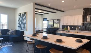 Grand Opening of Model Homes at New River Islands Community