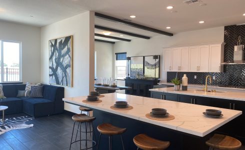 Grand Opening of Model Homes at New River Islands Community