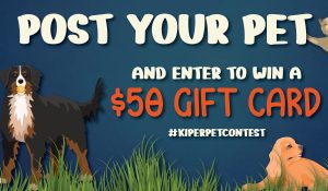 2023 Kiper Homes Post Your Pet Social Media Contest
