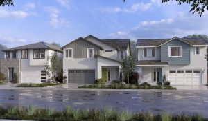 capri at river islands streetscape