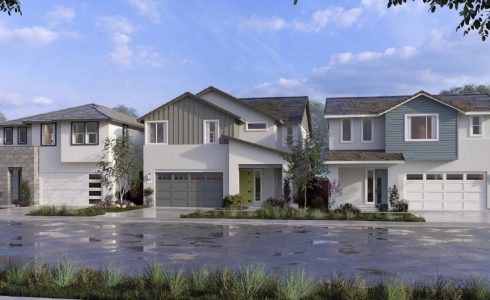 capri at river islands streetscape
