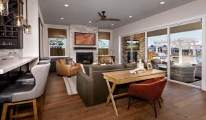 quick move-in opportunity at Skye II at River Islands